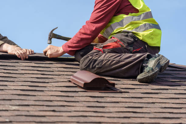 Best Storm Damage Roof Repair  in Olivia, MN