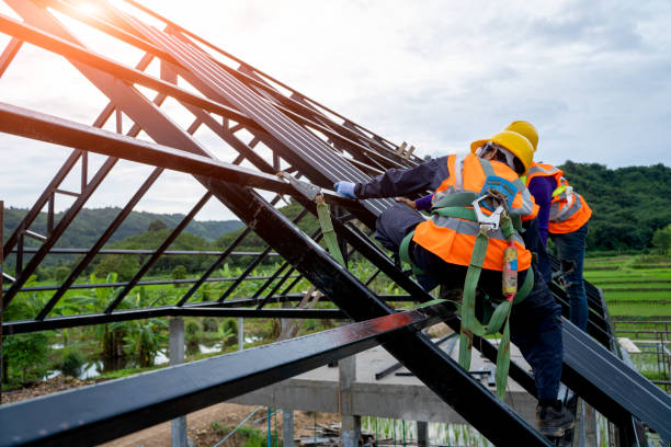 Best Local Roofing Companies  in Olivia, MN