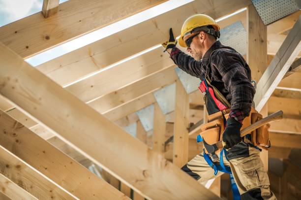 Best Roof Leak Repair  in Olivia, MN