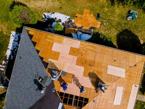 Roof Waterproofing Services in Olivia, MN