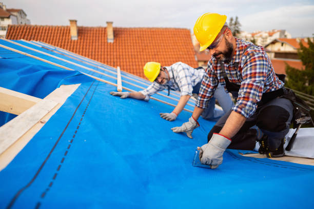 Best Residential Roofing Contractor  in Olivia, MN