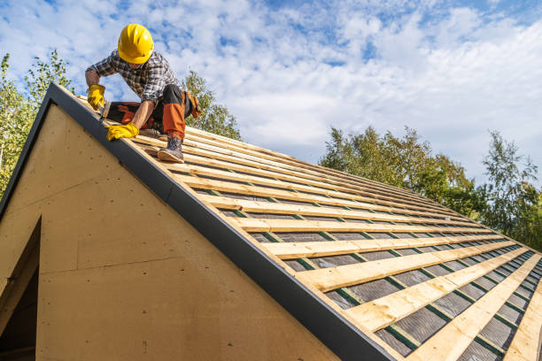 Roof Gutter Cleaning in Olivia, MN