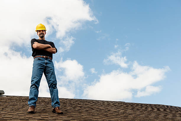 Best Flat Roof Repair Services  in Olivia, MN