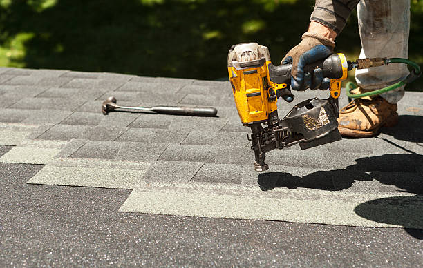 Best Roof Gutter Cleaning  in Olivia, MN