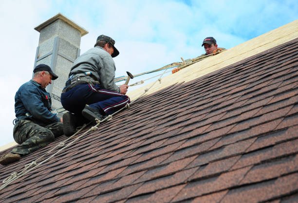 Best Roof Maintenance Services  in Olivia, MN